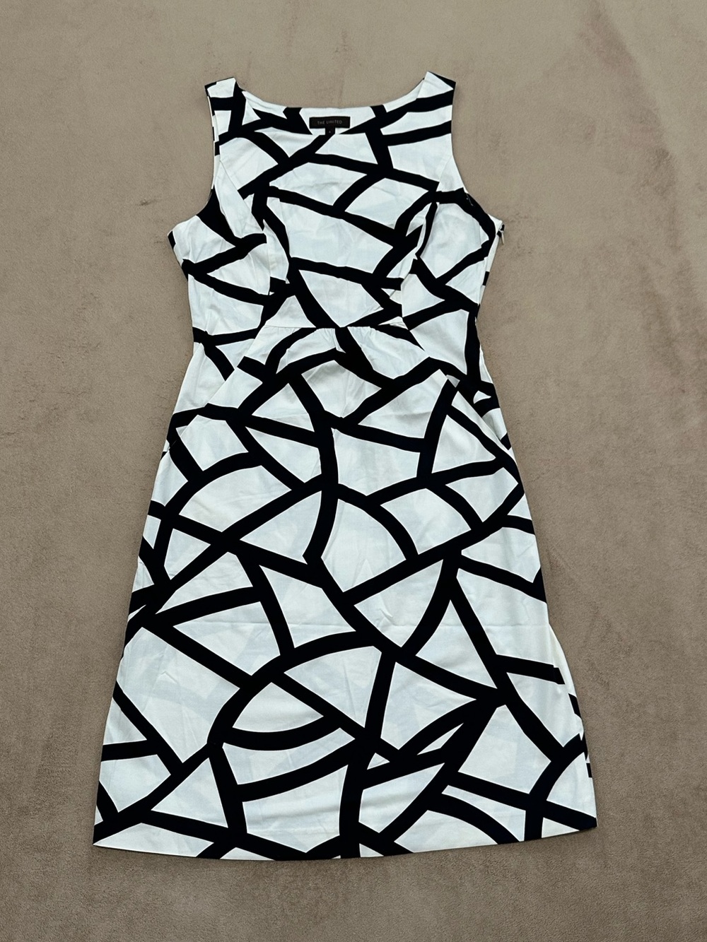 The Limited Dress